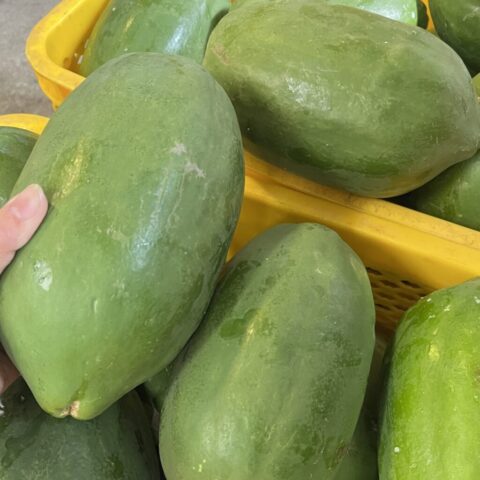 2025-01-30 11.48.38 papaya